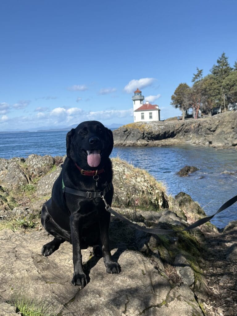 Lime Kiln Point lighthouse on San Juan Island. Cooper joined me while exploring the area near Roche Harbor before an upcoming wedding this summer.