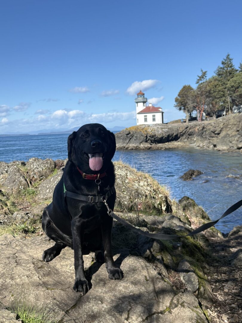 Lime Kiln Point lighthouse near Roche Harbor on San Juan Island